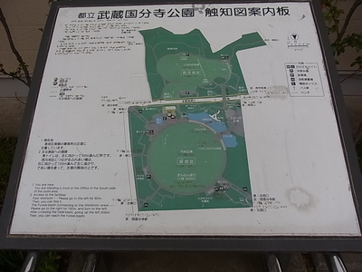 都立武蔵国分寺公園の案内図